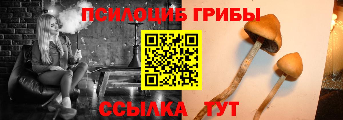Галлюциногенные грибы Psilocybine cubensis  Псилоцибиновые грибы Cubensis  Вход с VPN  Нягань 